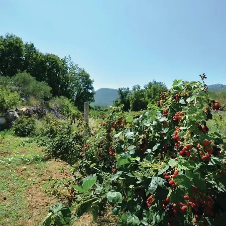 Put 08 * Gornji Dolac